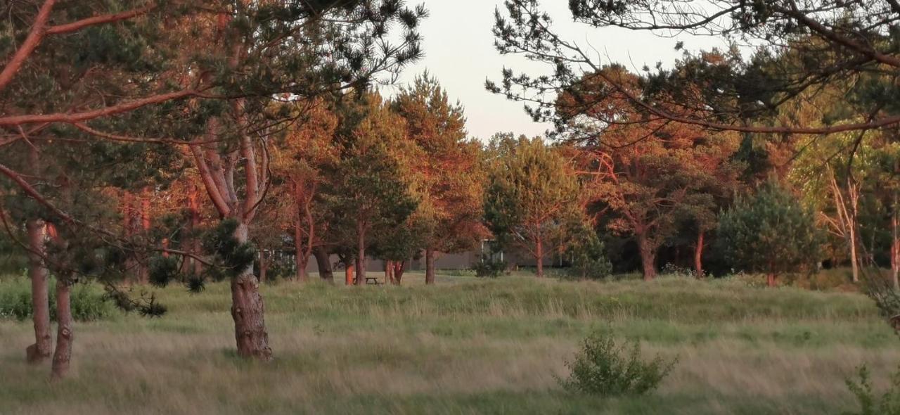 Campsite Girti Bernāti Zewnętrze zdjęcie